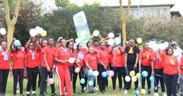 Half-Day Team Building Packages in Kenya