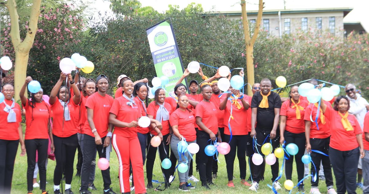 Half-Day Team Building Packages in Kenya