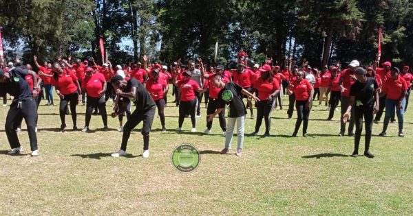 Team Building Companies in Nairobi