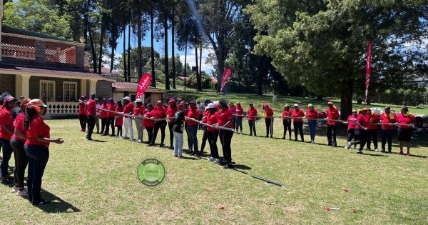 Team Building Companies in Nairobi