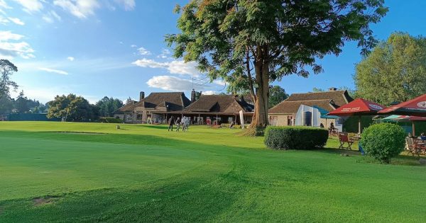 team building packages in Limuru